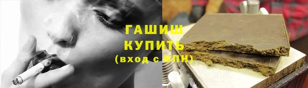 гидра Заводоуковск
