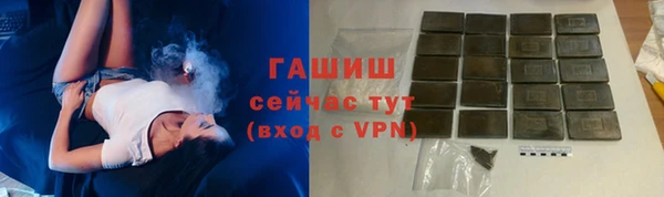 гидра Заводоуковск