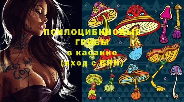 гидра Заводоуковск