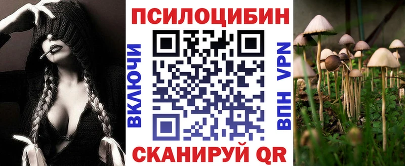 Галлюциногенные грибы Psilocybe Кандалакша